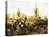 Desert Garden-Mark Chandon-Stretched Canvas