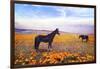 Desert Garden-Ata Alishahi-Framed Giclee Print