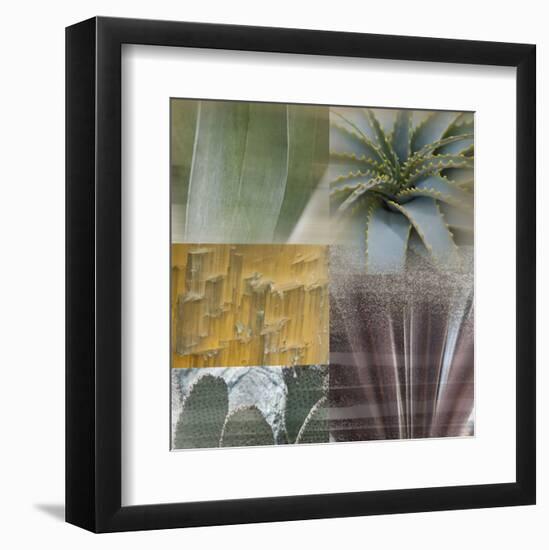 Desert Gaze-Sidney Aver-Framed Art Print