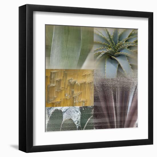 Desert Gaze-Sidney Aver-Framed Giclee Print