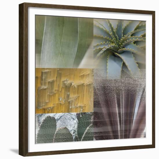 Desert Gaze-Sidney Aver-Framed Giclee Print