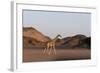 Desert Giraffe (Giraffa Camelopardalis Capensis), Namibia, Africa-Thorsten Milse-Framed Photographic Print