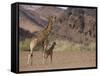 Desert Giraffe with Her Young, Namibia, Africa-Milse Thorsten-Framed Stretched Canvas