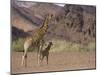 Desert Giraffe with Her Young, Namibia, Africa-Milse Thorsten-Mounted Photographic Print