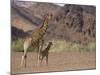 Desert Giraffe with Her Young, Namibia, Africa-Milse Thorsten-Mounted Photographic Print