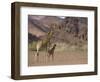 Desert Giraffe with Her Young, Namibia, Africa-Milse Thorsten-Framed Photographic Print