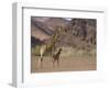 Desert Giraffe with Her Young, Namibia, Africa-Milse Thorsten-Framed Photographic Print