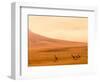 Desert Giraffes in the Mist, Namibia-Claudia Adams-Framed Photographic Print