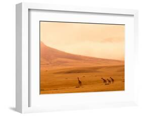 Desert Giraffes in the Mist, Namibia-Claudia Adams-Framed Photographic Print