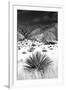 Desert Grasslands I BW-Douglas Taylor-Framed Photographic Print