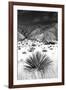 Desert Grasslands I BW-Douglas Taylor-Framed Photographic Print