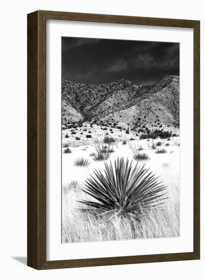 Desert Grasslands I BW-Douglas Taylor-Framed Photographic Print