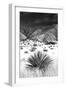 Desert Grasslands I BW-Douglas Taylor-Framed Photographic Print