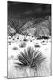 Desert Grasslands I BW-Douglas Taylor-Mounted Photographic Print