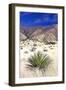 Desert Grasslands I-Douglas Taylor-Framed Photographic Print