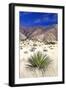 Desert Grasslands I-Douglas Taylor-Framed Photographic Print