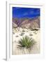 Desert Grasslands I-Douglas Taylor-Framed Photographic Print