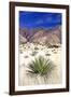 Desert Grasslands I-Douglas Taylor-Framed Photographic Print