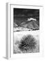 Desert Grasslands II BW-Douglas Taylor-Framed Photographic Print