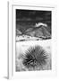 Desert Grasslands II BW-Douglas Taylor-Framed Photographic Print