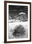 Desert Grasslands II BW-Douglas Taylor-Framed Photographic Print