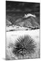 Desert Grasslands II BW-Douglas Taylor-Mounted Photographic Print