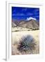 Desert Grasslands II-Douglas Taylor-Framed Photographic Print