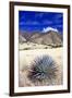 Desert Grasslands II-Douglas Taylor-Framed Photographic Print