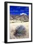 Desert Grasslands II-Douglas Taylor-Framed Photographic Print