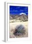 Desert Grasslands II-Douglas Taylor-Framed Photographic Print