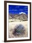Desert Grasslands II-Douglas Taylor-Framed Photographic Print
