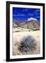 Desert Grasslands II-Douglas Taylor-Framed Photographic Print