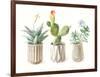 Desert Greenhouse IX-Danhui Nai-Framed Art Print