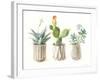 Desert Greenhouse IX-Danhui Nai-Framed Art Print