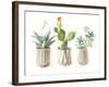 Desert Greenhouse IX-Danhui Nai-Framed Art Print