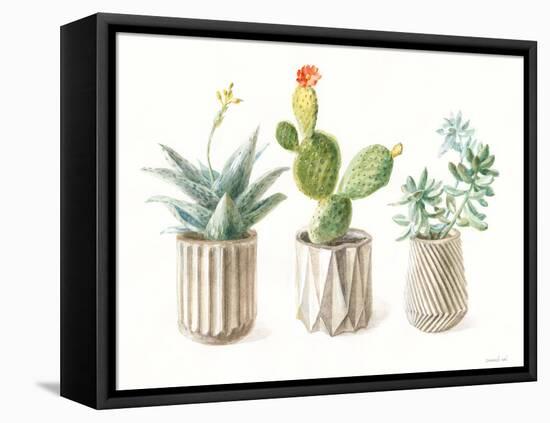 Desert Greenhouse IX-Danhui Nai-Framed Stretched Canvas