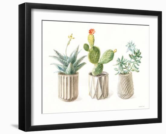 Desert Greenhouse IX-Danhui Nai-Framed Art Print