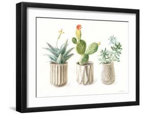 Desert Greenhouse IX-Danhui Nai-Framed Art Print