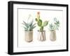 Desert Greenhouse IX-Danhui Nai-Framed Art Print