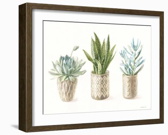 Desert Greenhouse VII-Danhui Nai-Framed Art Print