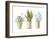 Desert Greenhouse VII-Danhui Nai-Framed Art Print