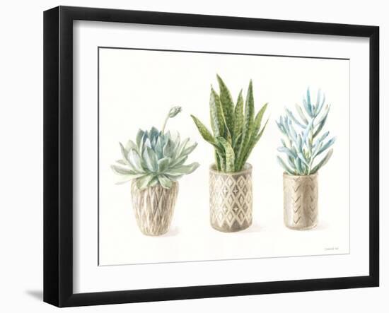 Desert Greenhouse VII-Danhui Nai-Framed Art Print