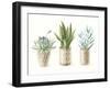 Desert Greenhouse VII-Danhui Nai-Framed Art Print