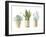 Desert Greenhouse VII-Danhui Nai-Framed Art Print