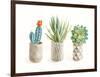 Desert Greenhouse VIII-Danhui Nai-Framed Art Print