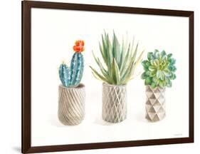 Desert Greenhouse VIII-Danhui Nai-Framed Art Print