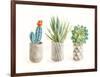 Desert Greenhouse VIII-Danhui Nai-Framed Art Print