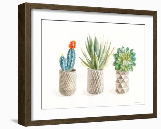 Desert Greenhouse VIII-Danhui Nai-Framed Art Print