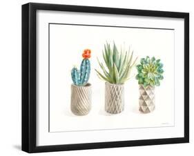 Desert Greenhouse VIII-Danhui Nai-Framed Art Print