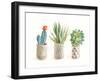 Desert Greenhouse VIII-Danhui Nai-Framed Art Print